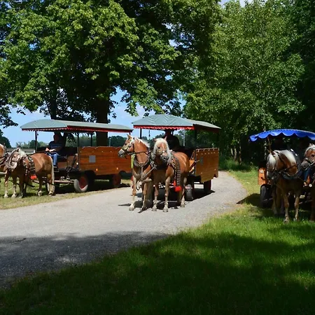 Nyaraló Am Park Löbnitz