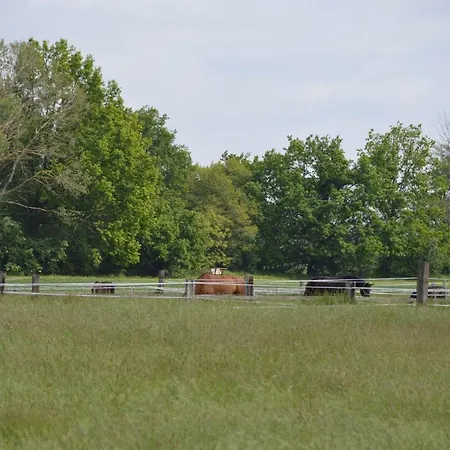 Casa vacanze Am Park